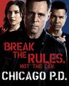 Sophia-Bush-Chicago-PD-Saison-2-Affiches-Pubs-002_t.jpg