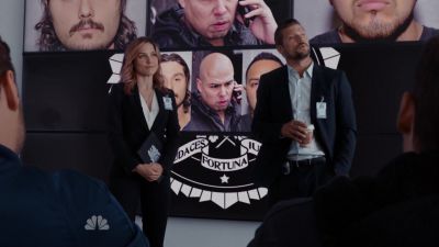 Cliquer pour voir l'image en taille réelle