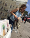 14-Juin-2015-Sophia-Bush-Melrose-Trading-Post_abiGAILsohmer.png