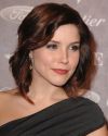 Sophia-Bush-The-Art-Elysium-Heaven-Celebrating-10-Years-Gala_005.jpg