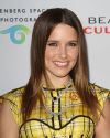 Sophia-Bush-at-the-Beauty-Culture-Exhibition-Opening-in-Los-Angeles_006.jpg