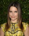 Sophia-Bush-at-the-Beauty-Culture-Exhibition-Opening-in-Los-Angeles_053.jpg