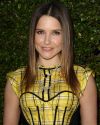 Sophia-Bush-at-the-Beauty-Culture-Exhibition-Opening-in-Los-Angeles_055.jpg