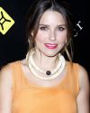 Sophia-Bush-6th-Annual-Charity-Ball-Benefiting-Charity-Water_011.jpg