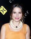 Sophia-Bush-6th-Annual-Charity-Ball-Benefiting-Charity-Water_012.jpg