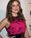 Sophia-Bush-The-26th-Genesis-Award-001_HQ.jpg