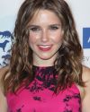 Sophia-Bush-The-26th-Genesis-Award-006_HQ.jpg