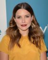 Sophia-Bush-11th-Annual-InStyle-Summer-Soiree-005_HQ.jpg