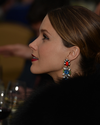 Sophia-Bush-Human-Rights-Campaign-22nd-Annual-Chicago-Gala-Dinner-And-Auction-006.png