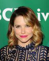 Sophia-Bush-NBC-Universal-TCA-Summer-Press-042.JPG