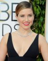 Sophia-Bush-73rd-Annual-Golden-Globe-Awards_041.jpg