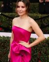 Sophia-Bush-at-the-23rd-Annual-Screen-Actors-Guild-Awards_034.jpg