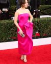 Sophia-Bush-at-the-23rd-Annual-Screen-Actors-Guild-Awards_036.jpg