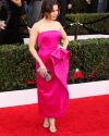 Sophia-Bush-at-the-23rd-Annual-Screen-Actors-Guild-Awards_037.jpg