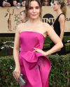 Sophia-Bush-at-the-23rd-Annual-Screen-Actors-Guild-Awards_083.jpg