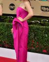 Sophia-Bush-at-the-23rd-Annual-Screen-Actors-Guild-Awards_096.jpg