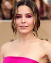 Sophia-Bush-at-the-23rd-Annual-Screen-Actors-Guild-Awards_108.jpg