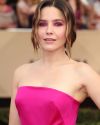 Sophia-Bush-at-the-23rd-Annual-Screen-Actors-Guild-Awards_110.jpg