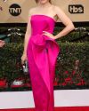 Sophia-Bush-at-the-23rd-Annual-Screen-Actors-Guild-Awards_134.jpg