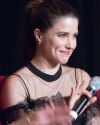 2017-05-20-Sophia-Bush-Dont-Mess-With-Chicago-Convention-WSB-001.jpg