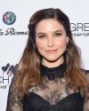 Sophia-Bush-at-the-Greenwich-International-Film-Festival-Opening-Night-Party_002.jpg