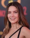 Sophia-Bush-at-The-Incredibles-2-Premiere-in-Los-Angeles_061.jpg