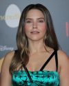 Sophia-Bush-at-The-Incredibles-2-Premiere-in-Los-Angeles_122.jpg