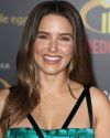 Sophia-Bush-at-The-Incredibles-2-Premiere-in-Los-Angeles_156.jpg