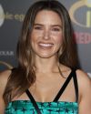 Sophia-Bush-at-The-Incredibles-2-Premiere-in-Los-Angeles_157.jpg