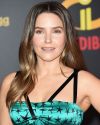 Sophia-Bush-at-The-Incredibles-2-Premiere-in-Los-Angeles_202.jpg