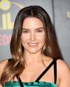 Sophia-Bush-at-The-Incredibles-2-Premiere-in-Los-Angeles_204.jpg