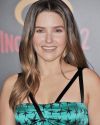 Sophia-Bush-at-The-Incredibles-2-Premiere-in-Los-Angeles_205.jpg