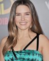 Sophia-Bush-at-The-Incredibles-2-Premiere-in-Los-Angeles_207.jpg