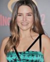 Sophia-Bush-at-The-Incredibles-2-Premiere-in-Los-Angeles_217.jpg