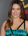 Sophia-Bush-at-The-Incredibles-2-Premiere-in-Los-Angeles_254.jpg