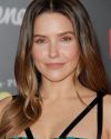 Sophia-Bush-at-The-Incredibles-2-Premiere-in-Los-Angeles_257.jpg