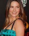 Sophia-Bush-at-The-Incredibles-2-Premiere-in-Los-Angeles_259.jpg