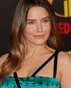 Sophia-Bush-at-The-Incredibles-2-Premiere-in-Los-Angeles_261.jpg