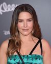 Sophia-Bush-at-The-Incredibles-2-Premiere-in-Los-Angeles_286.jpg