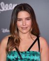 Sophia-Bush-at-The-Incredibles-2-Premiere-in-Los-Angeles_287.jpg