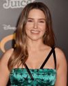 Sophia-Bush-at-The-Incredibles-2-Premiere-in-Los-Angeles_305.jpg