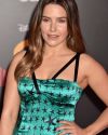 Sophia-Bush-at-The-Incredibles-2-Premiere-in-Los-Angeles_306.jpg