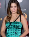 Sophia-Bush-at-The-Incredibles-2-Premiere-in-Los-Angeles_329.jpg