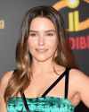 Sophia-Bush-at-The-Incredibles-2-Premiere-in-Los-Angeles_347.jpg