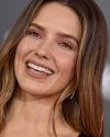 Sophia-Bush-at-The-Incredibles-2-Premiere-in-Los-Angeles_381.jpg