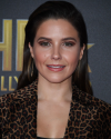 Sophia-Bush-at-the-Hollywood-Film-Awards_119.png