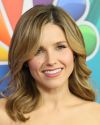 Sophia-Bush-TCA-2015-51.jpg